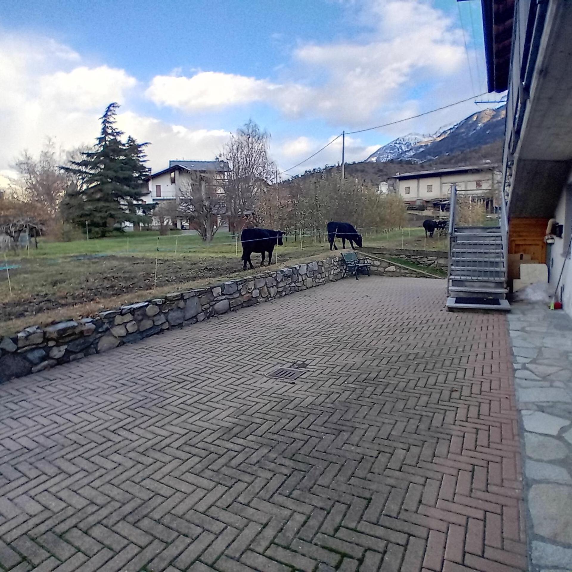Maison Clair Vda Gressan N 0094 Aosta Rom bilde